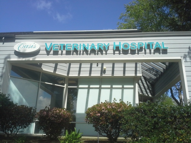Home | Veterinarian in Martinez, CA | Oasis Veterinary Hospital